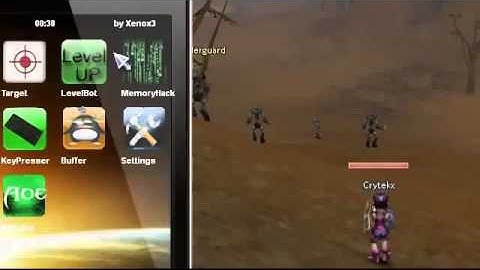 Working FLYFF HACK/BOT [Updated in March 2013]_Undetected