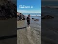 Looking for a mini drone that can do it all?✨