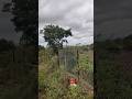 chain link fence how to fit jali