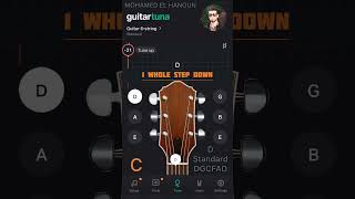 D Standard Tuning Guitar / 1 Step Down - Using GuitarTuna Free