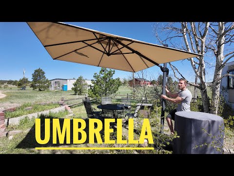 Watch Before You Buy A Patio Umbrella - Purple Leaf Umbrella by TipsNNTricks
