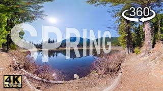 360° Virtual Nature Relaxation - Spring in Canadian Landscape near lake - British Columbia, Canada