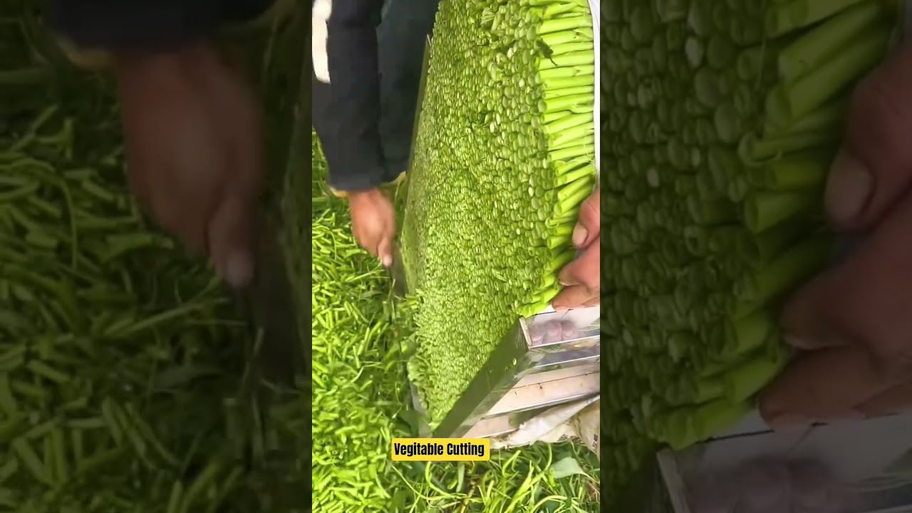 Процесс нарезки зеленых овощей " 