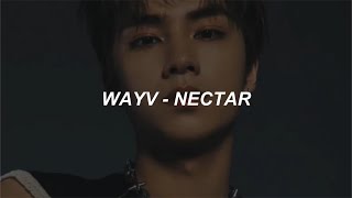 WAYV 威神V - Nectar (月之迷) Easy Lyrics