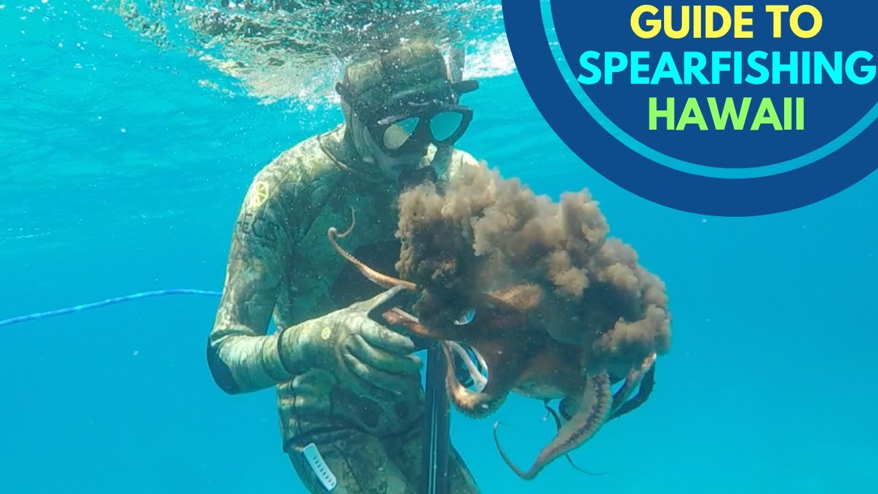 Spearfishing – Florida Freedivers