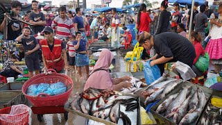 Chbar Ampov Fish Market In The Morning - Massive Supply Alive Fish, Dry Fish & More Fresh Seafood by Countryside Daily TV 1,776 views 9 days ago 37 minutes