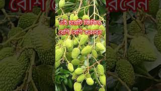 এই চারটি জিকির বেশি বেশি করবেন #vairalvideo #lovemusic #funny #fruit #englishsongs #lyrical #foryou
