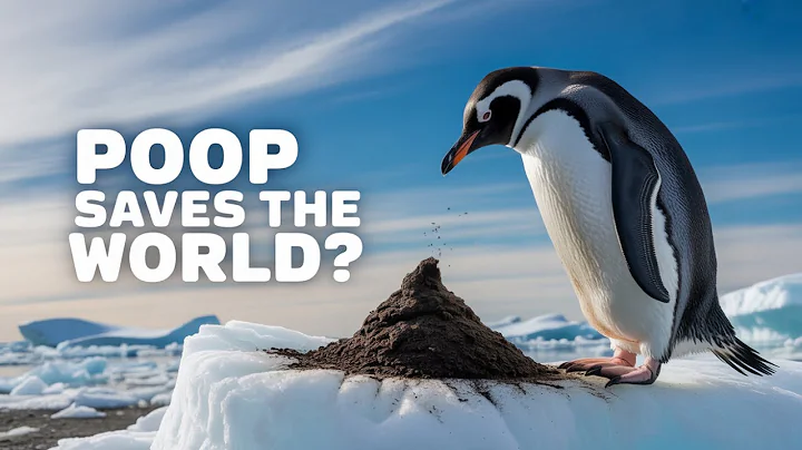 How Penguin Poop Helps Fight Climate Change!