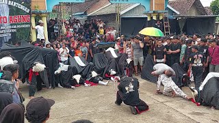 Angry Bull  Sruit Putro Tirto Agung  Pamotan Gondang Mojokerto