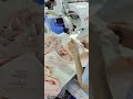 CRETO 701 gluing machine for making seamless thong panty Contact whatsapp +86-13549349531