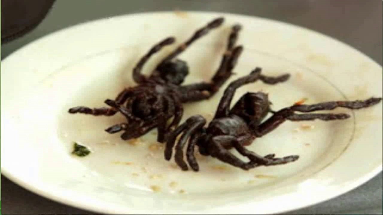 LAS COMIDA MAS EXTRAÑA DEL MUNDO -[ muy rico] 😋 😋😋 - YouTube