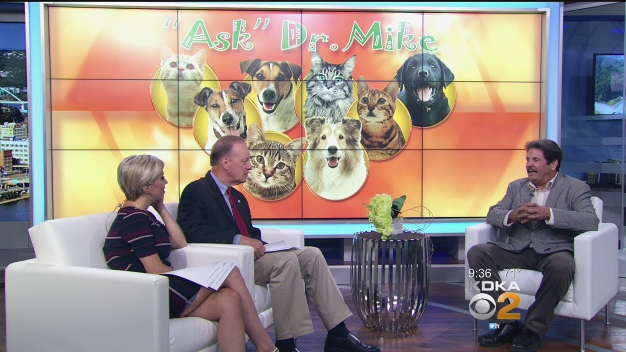 Animal General Dr Mike Hutchinson Pittsburgh Veternarian Speaker