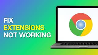 How to Fix Chrome Extensions Not Working or Loading
