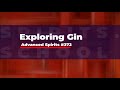 Advanced Gin Lecture 372 from @winebeerspirits