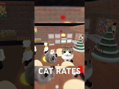 Cat rates the average Pizza Place #shorts