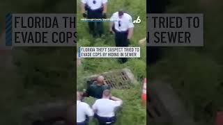 Florida theft suspect tried to evade cops by hiding in sewer