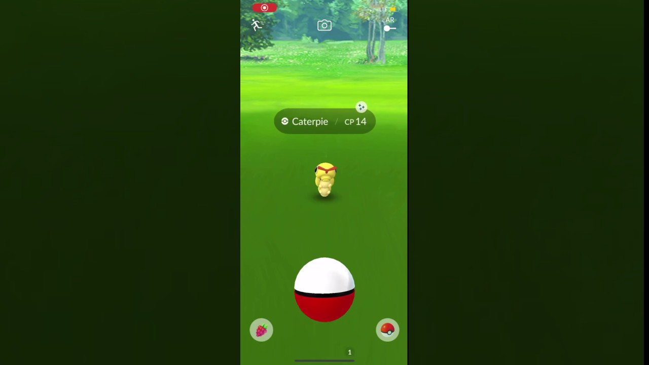 Wild Shiny Caterpie (Pokemon Go)