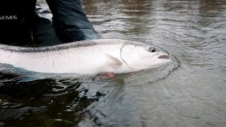 He caught the BIGGEST steelhead he’s ever SEEN!!