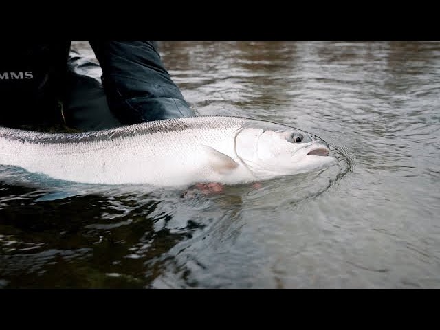 Googan Squad BANDITO BUG BEATDOWN!! (SECRET POND FISHING) 