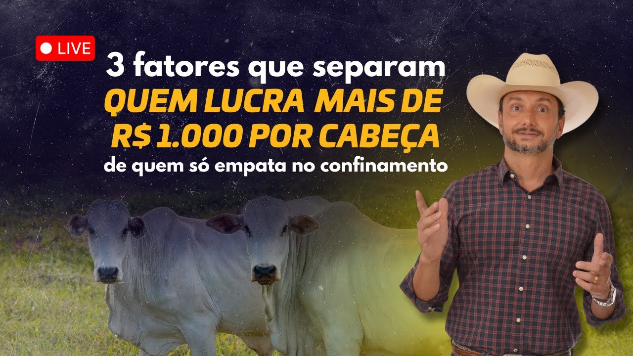 Назовите 3 фактора, которые отличают тех, кто зарабатывает 1000 реалов в год, от тех, кто едва св...