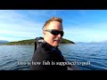 Halibut fishing Norway 2018