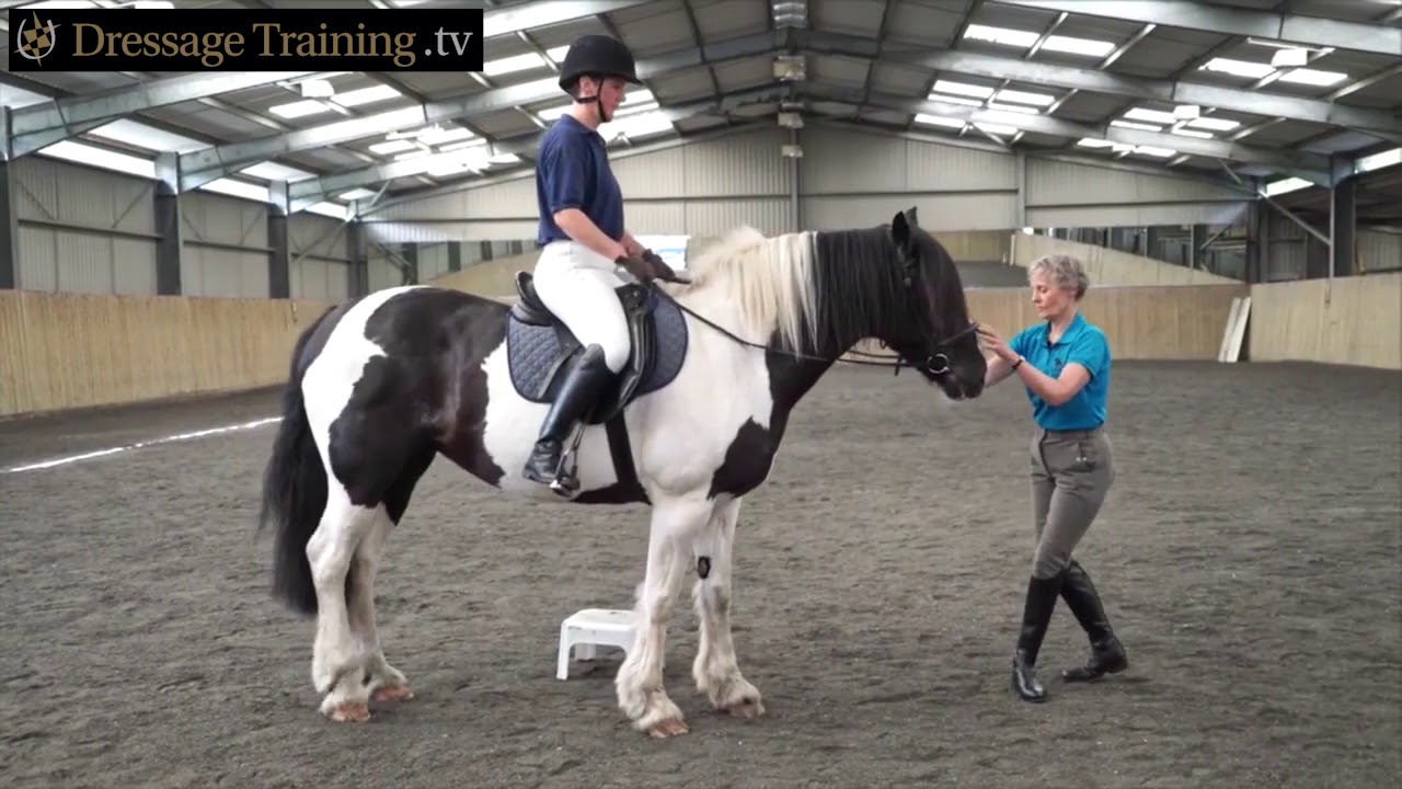 horseshoe bend Neutral Spine & Stability