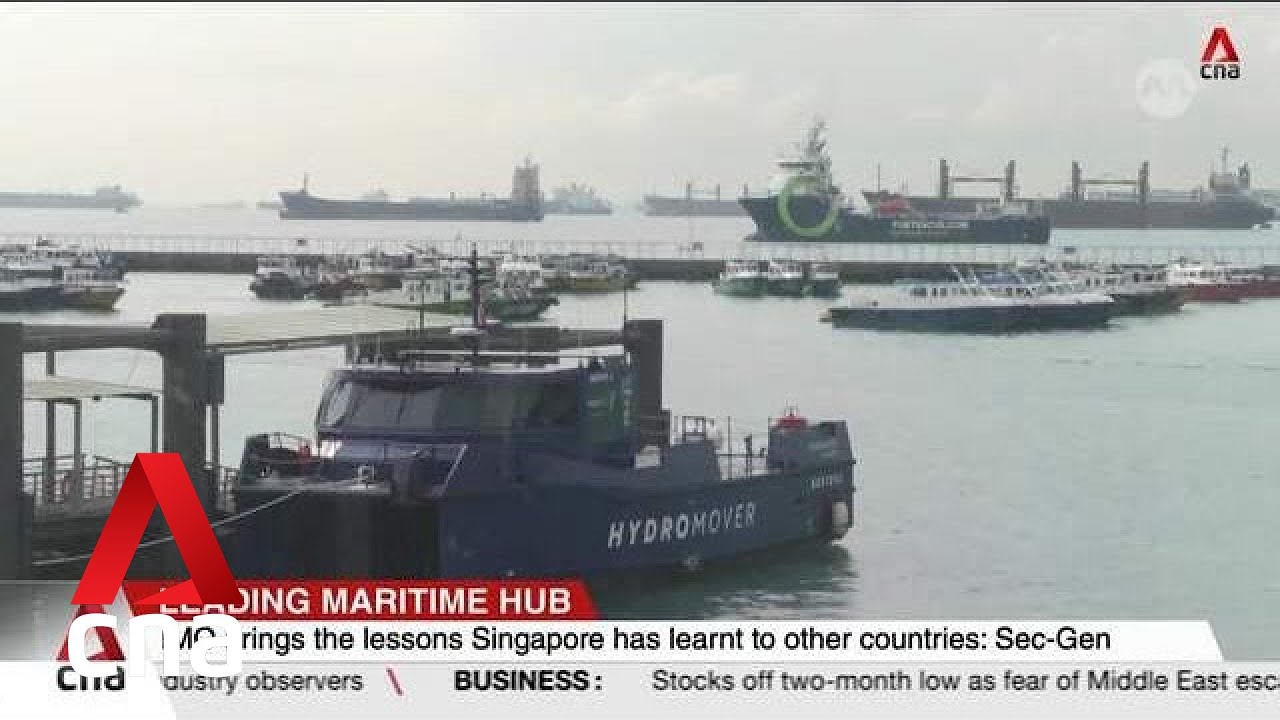 Singapore can be conduit for new trade flows, critical tech: Maritime International Advisory Panel