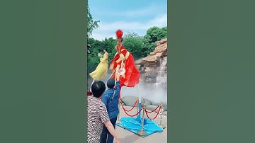 Thumbnail of Funny circus video 2022
