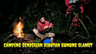 Download Lagu SOLO CAMPING DIHUTAN GUNUNG SLAMET//ASMR MP3