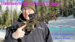 Hammerhead Drop In Trigger Review