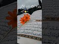 سموت بنور يضيء الدنا فذال الظلام برب البشر
