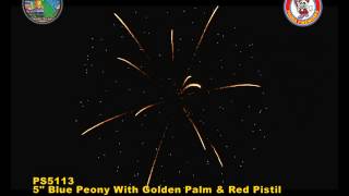 SC125PE11 - 5 INCH SHELL - WIZARD FIREWORKS - PS5113