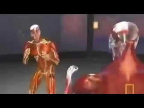 devastation.mp4