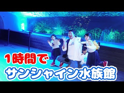 ●普段遊び●1時間でサンシャイン水族館を回った!!めっちゃ楽しかった♡まーちゃん【6歳】おーちゃん【4歳】#627