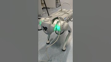 Unitree Go1 Light control