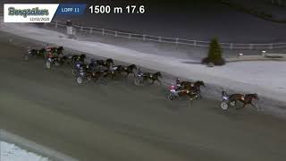 Vidéo de la course PMU PRIX MAGNIFICENT RODNEY
