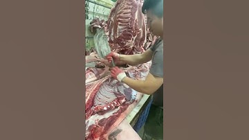 Tips for cutting whole hogs quickly 1 #meat #beef #delicious