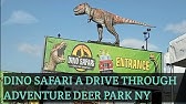 Around Town Dino Safari Drive Thru Adventure Youtube