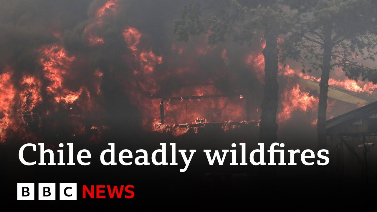 Forest fires in Chile: At least 51 dead, authorities say  BBC News