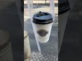 cafe ăn sáng quận 1 New Review cafe Maigu Drinker gần phố đi bộ Nguyễn Huệ Quận 1 #review #cafe #buoisang