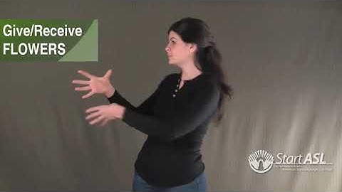 ASL 3 Unit 2 - Classifier Examples (Role Shifting)