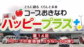 2014年7月14日放送　第14回「コープの産直豚　うちな～とこ豚」