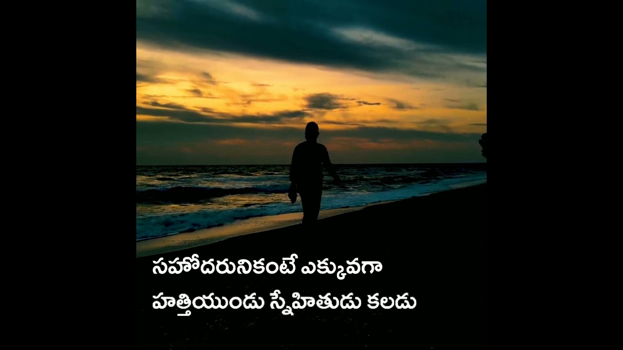 Telugu Christian whatsapp status|Telugu Bible verses|Telugu Bible|daily Bible verses