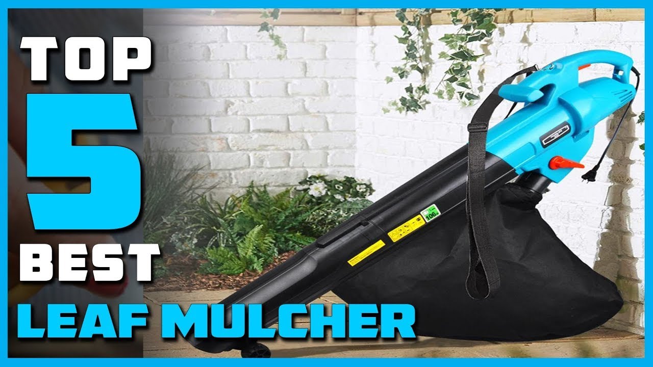 Top 5 Best Leaf Mulcher on On Aliexpress On Amazon