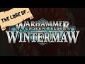 Warhammer underworlds  part x  wintermaw  full lore reading
