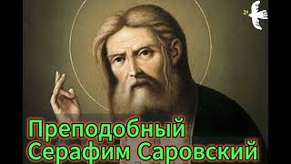 Преподобный старец Серафим Саровский (Воспоминания часть вторая) #серафим #молитва #воспоминания