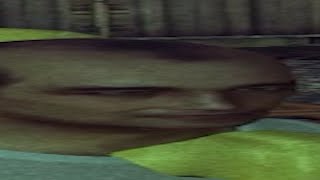The 'T' Pose .mp4