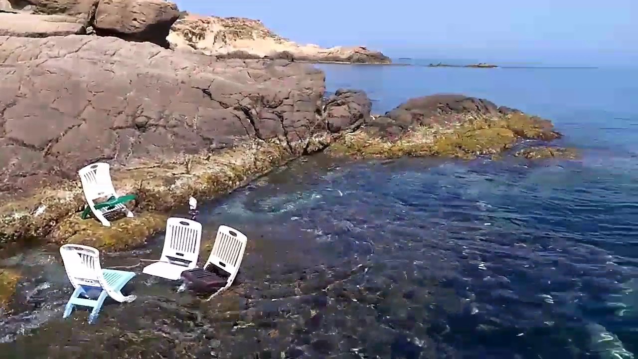 Plage Alger 2017 Youtube