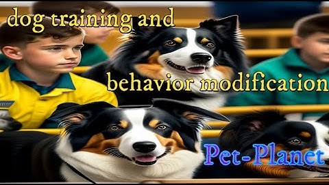 Pet-Planet: DOG TRAINING AND BEHAVIOR MODIFICATION