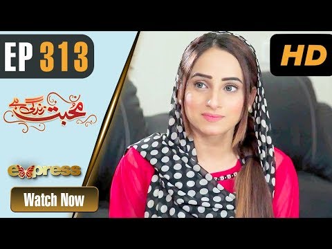 Mohabbat Zindagi Hai — Episode 313